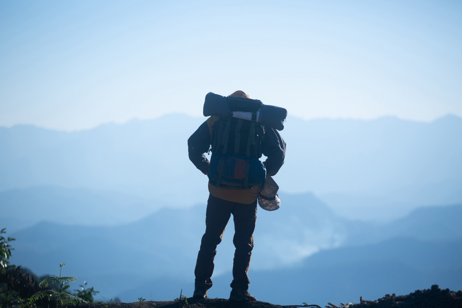 Banner Image